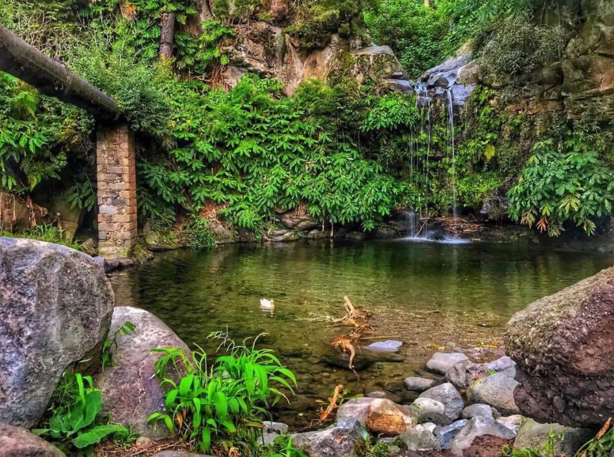 Апартаменти Casa Da Cascata Do Segredo Agua de Alto Екстер'єр фото